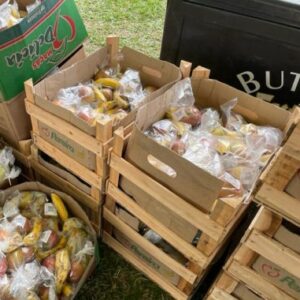 Frutas separadas em caixas após corrida de rua para alimentação pós corrida