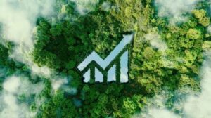 Vista aérea de uma floresta densa e verde onde o espaço negativo entre as árvores forma o desenho de um gráfico de barras financeiro com uma seta apontando para cima. Nuvens leves flutuam sobre a copa das árvores, simbolizando o crescimento econômico sustentável.